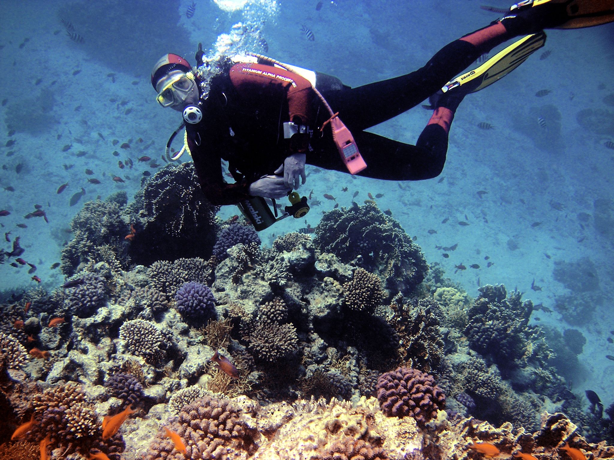 Diving From Safaga Port3