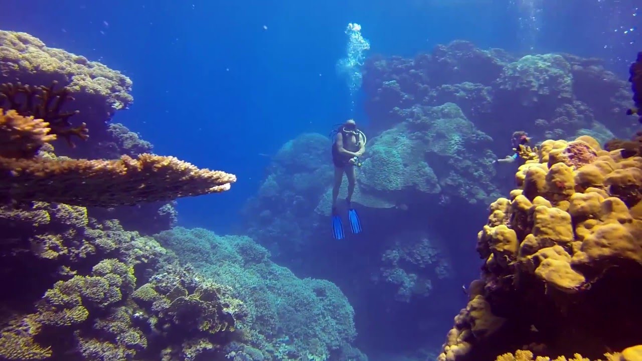 Diving From Safaga Port5