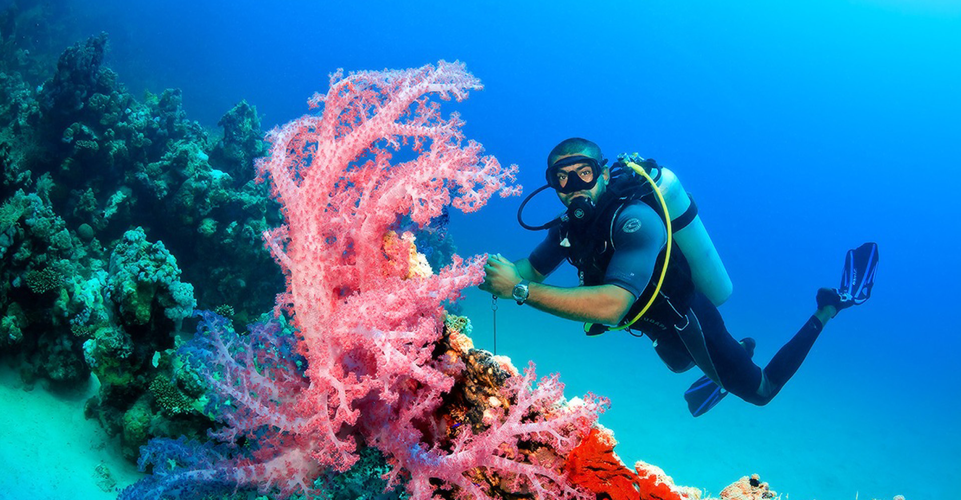 Diving in Hurghada4