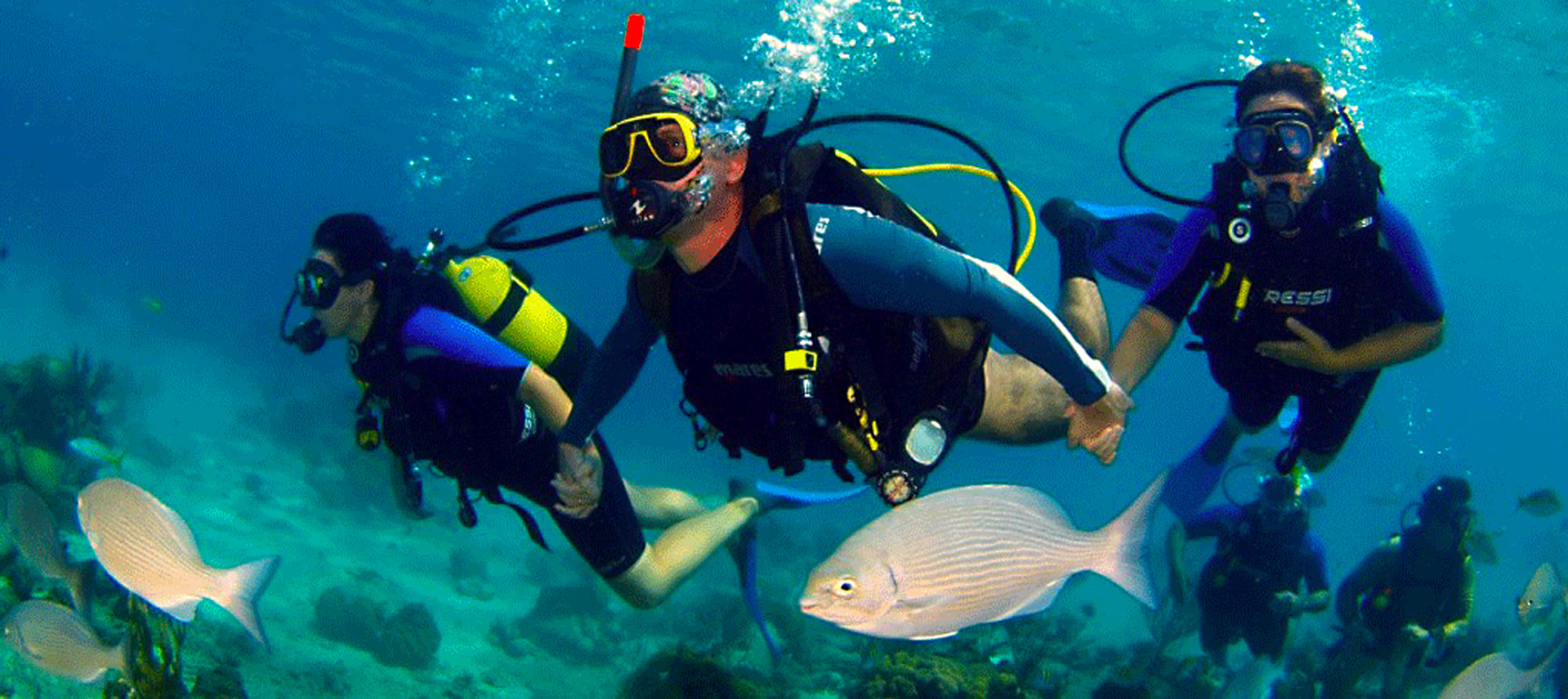 Diving in Hurghada5