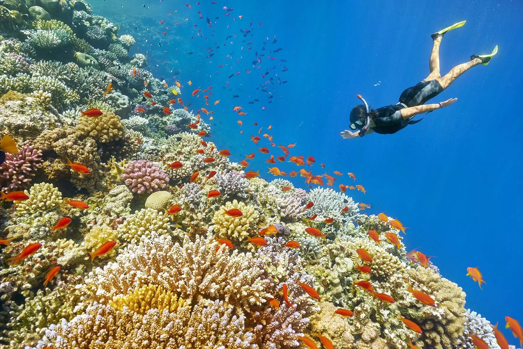 Snorkel En Hurgada2