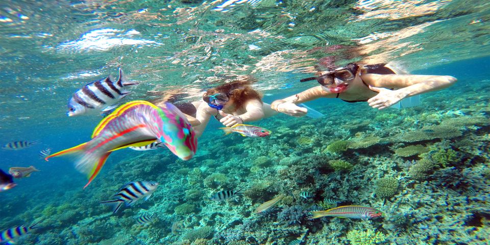 Snorkeling From Safaga3