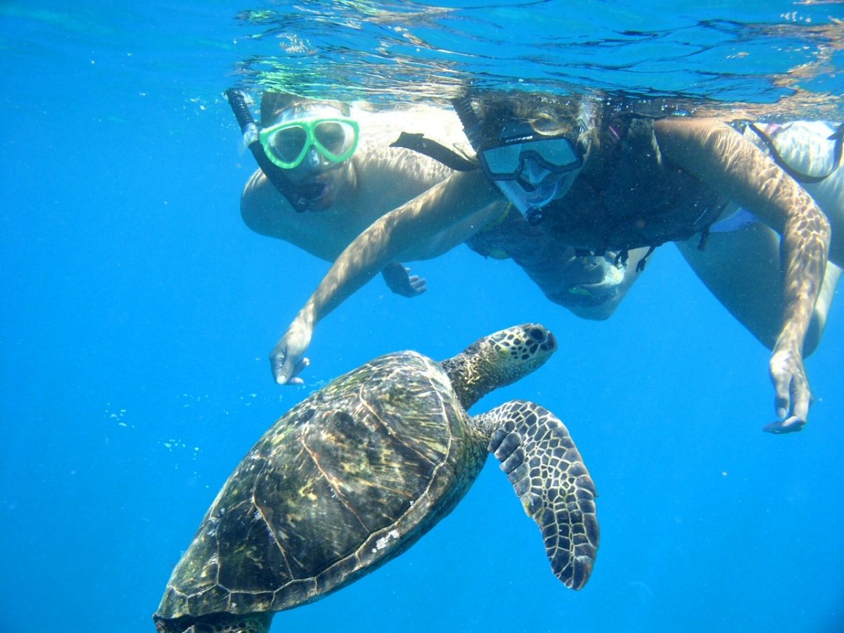 Snorkeling From Safaga4